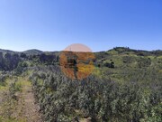Terreno R�stico - Concei��o de Tavira, Tavira, Faro (Algarve) - Miniatura: 2/9