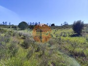 Terreno R�stico - Concei��o de Tavira, Tavira, Faro (Algarve) - Miniatura: 3/9