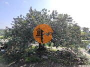 Moradia T1 - Castro Marim, Castro Marim, Faro (Algarve) - Miniatura: 1/9