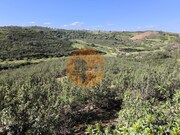 Terreno R�stico - Castro Marim, Castro Marim, Faro (Algarve) - Miniatura: 2/9