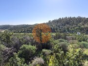 Terreno R�stico - Castro Marim, Castro Marim, Faro (Algarve) - Miniatura: 6/9
