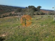 Terreno Urbano - Odeleite, Castro Marim, Faro (Algarve) - Miniatura: 5/9