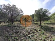 Terreno R�stico - Odeleite, Castro Marim, Faro (Algarve) - Miniatura: 4/9