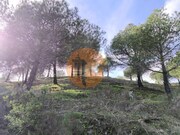 Terreno R�stico - Odeleite, Castro Marim, Faro (Algarve) - Miniatura: 6/9