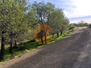 Terreno R�stico - Odeleite, Castro Marim, Faro (Algarve) - Miniatura: 8/9