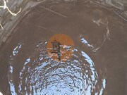 Terreno R�stico - Odeleite, Castro Marim, Faro (Algarve) - Miniatura: 2/9