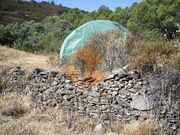 Terreno R�stico - Odeleite, Castro Marim, Faro (Algarve) - Miniatura: 4/9