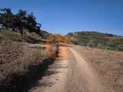 Terreno R�stico - Odeleite, Castro Marim, Faro (Algarve) - Miniatura: 6/9