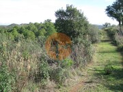 Terreno R�stico - Azinhal, Castro Marim, Faro (Algarve) - Miniatura: 4/9