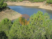 Terreno R�stico - Azinhal, Castro Marim, Faro (Algarve) - Miniatura: 6/9