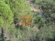 Terreno R�stico - Azinhal, Castro Marim, Faro (Algarve) - Miniatura: 9/9