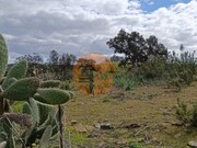 Terreno R�stico - Odeleite, Castro Marim, Faro (Algarve) - Miniatura: 8/9