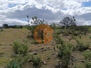 Terreno R�stico - Odeleite, Castro Marim, Faro (Algarve) - Miniatura: 9/9