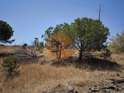 Terreno Urbano - Vila Nova de Cacela, Vila Real de Santo Ant�nio, Faro (Algarve) - Miniatura: 7/9