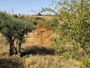 Terreno R�stico - Martim Longo, Alcoutim, Faro (Algarve) - Miniatura: 4/9