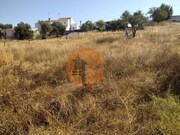 Terreno R�stico - Martim Longo, Alcoutim, Faro (Algarve) - Miniatura: 6/9