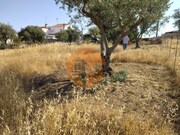 Terreno R�stico - Martim Longo, Alcoutim, Faro (Algarve) - Miniatura: 7/9