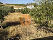 Terreno R�stico - Martim Longo, Alcoutim, Faro (Algarve) - Miniatura: 8/9