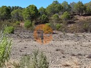 Terreno R�stico - Vaqueiros, Alcoutim, Faro (Algarve) - Miniatura: 9/9