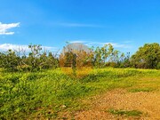 Terreno R�stico - Tavira, Tavira, Faro (Algarve) - Miniatura: 2/8