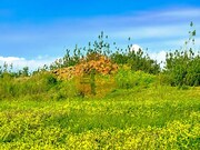 Terreno R�stico - Tavira, Tavira, Faro (Algarve) - Miniatura: 5/8