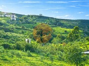 Terreno R�stico - Tavira, Tavira, Faro (Algarve) - Miniatura: 6/8