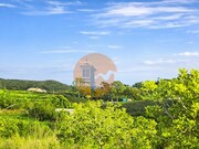 Terreno R�stico - Tavira, Tavira, Faro (Algarve) - Miniatura: 7/8