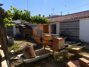 Moradia T2 - Azinhal, Castro Marim, Faro (Algarve) - Miniatura: 3/9