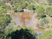 Terreno R�stico T3 - Castro Marim, Castro Marim, Faro (Algarve) - Miniatura: 5/9