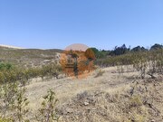 Terreno R�stico - Concei��o de Tavira, Tavira, Faro (Algarve) - Miniatura: 6/9