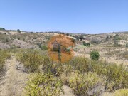 Terreno R�stico - Concei��o de Tavira, Tavira, Faro (Algarve) - Miniatura: 8/9