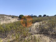 Terreno R�stico - Concei��o de Tavira, Tavira, Faro (Algarve) - Miniatura: 9/9