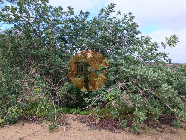 Terreno R�stico - Azinhal, Castro Marim, Faro (Algarve) - Imagem grande