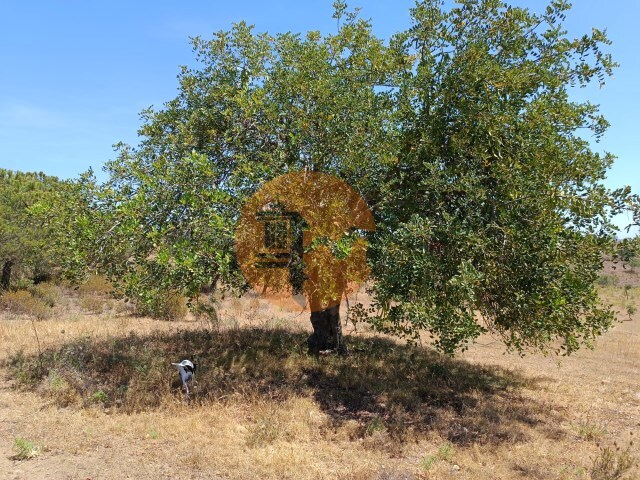 Terreno R�stico - Odeleite, Castro Marim, Faro (Algarve) - Imagem grande