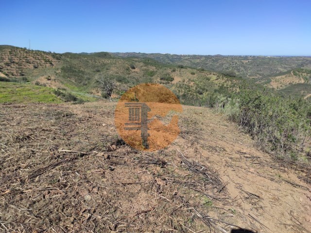 Terreno R�stico - Azinhal, Castro Marim, Faro (Algarve) - Imagem grande