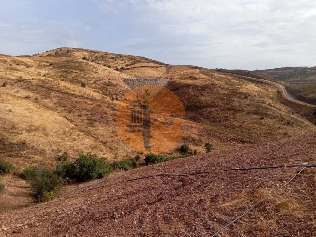 Terreno R�stico - Concei��o de Tavira, Tavira, Faro (Algarve) - Imagem grande