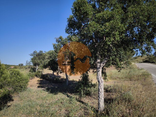 Terreno R�stico - Azinhal, Castro Marim, Faro (Algarve) - Imagem grande