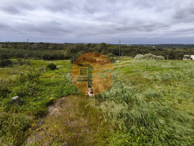 Hotel/Residencial - Azinhal, Castro Marim, Faro (Algarve) - Imagem grande