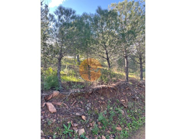 Terreno R�stico - Odeleite, Castro Marim, Faro (Algarve) - Imagem grande