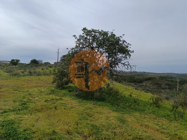 Terreno R�stico - Azinhal, Castro Marim, Faro (Algarve) - Imagem grande