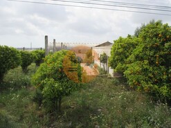 Terreno R�stico - S. Barbara Nexe, Faro, Faro (Algarve)