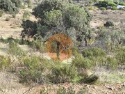 Terreno R�stico - Castro Marim, Castro Marim, Faro (Algarve) - Miniatura: 2/9