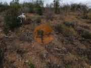 Terreno R�stico - Azinhal, Castro Marim, Faro (Algarve) - Miniatura: 8/9