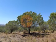 Terreno R�stico - Odeleite, Castro Marim, Faro (Algarve) - Miniatura: 3/9
