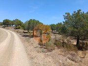 Terreno R�stico - Odeleite, Castro Marim, Faro (Algarve) - Miniatura: 4/9