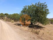 Terreno R�stico - Odeleite, Castro Marim, Faro (Algarve) - Miniatura: 7/9