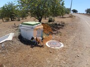 Terreno R�stico - Odeleite, Castro Marim, Faro (Algarve) - Miniatura: 8/9
