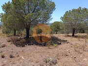 Terreno R�stico - Odeleite, Castro Marim, Faro (Algarve) - Miniatura: 9/9