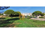 Terreno R�stico - Lagoa, Lagoa (Algarve), Faro (Algarve) - Miniatura: 2/9