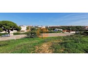 Terreno R�stico - Lagoa, Lagoa (Algarve), Faro (Algarve) - Miniatura: 3/9